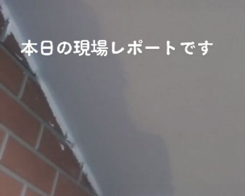 C7D3220F-B3B8-4E87-9218-6016C271A273