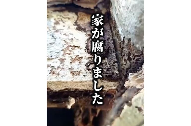 ショート動画