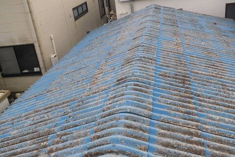 img20170213172805491942